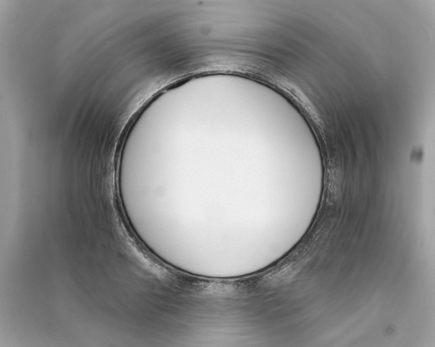 X0000090740890200708101700