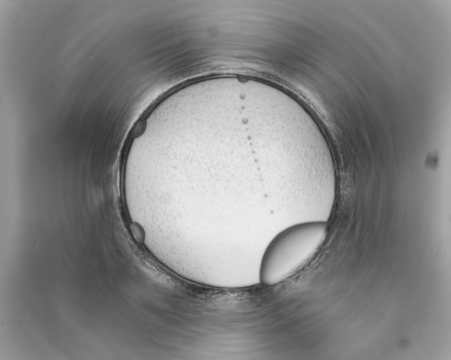 X0000090740891200708101700