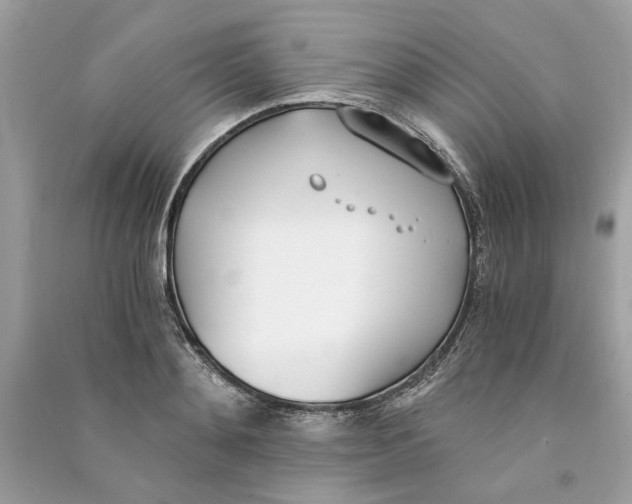 X0000090740892200708101700