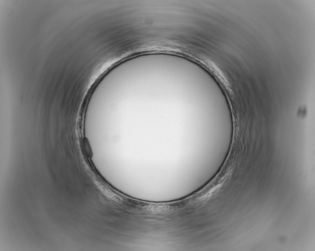 X0000090740893200708101700