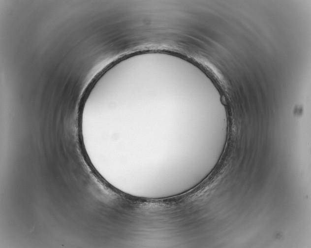 X0000090740894200708101700