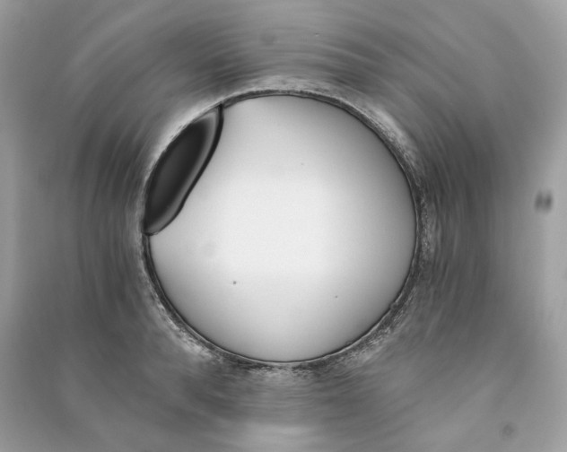 X0000090740896200708101700