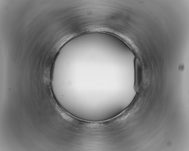 X0000090740897200708101700