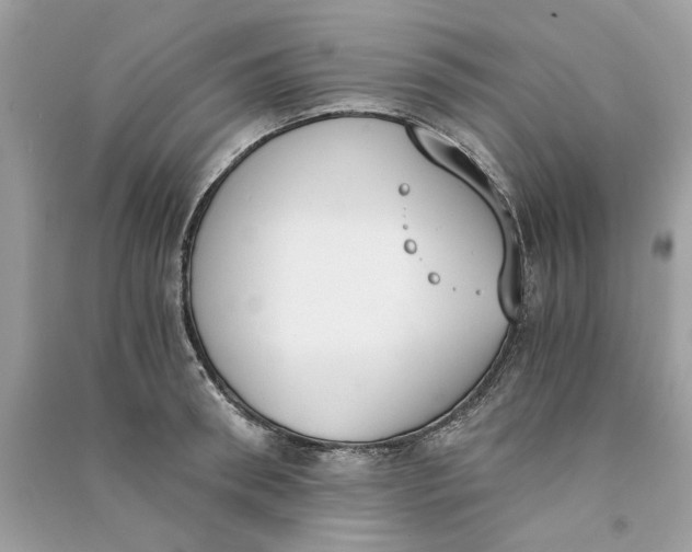 X0000090740898200708101700