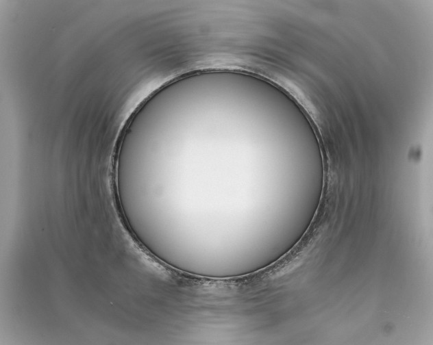 X0000090740901200708101700