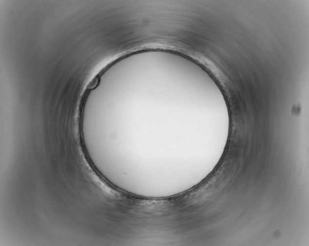 X0000090740902200708101700