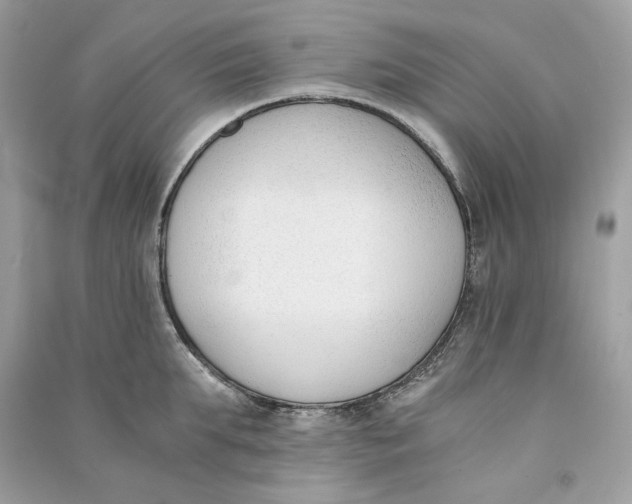 X0000090740903200708101700