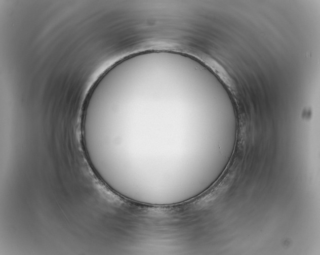 X0000090740904200708101700