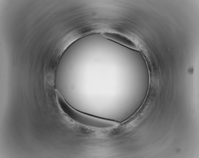 X0000090740905200708101700