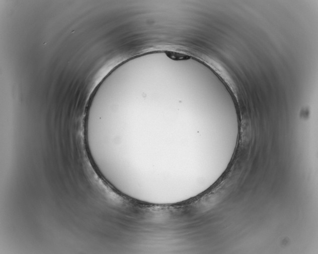 X0000090740906200708101700