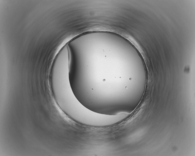 X0000090740909200708101700