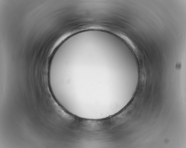 X0000090740910200708101700