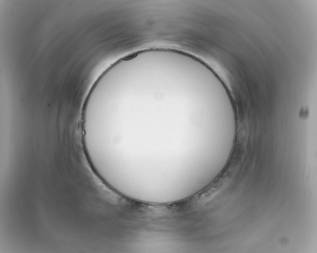 X0000090740911200708101700