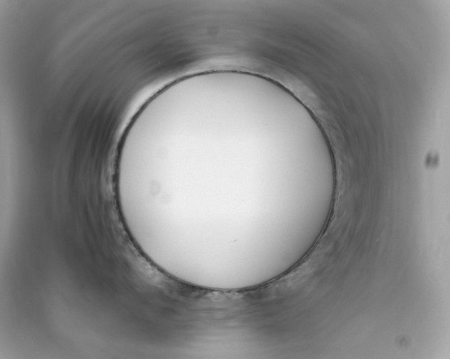 X0000090740912200708101700