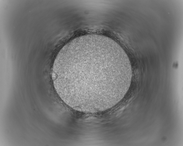 X0000090740913200708101659