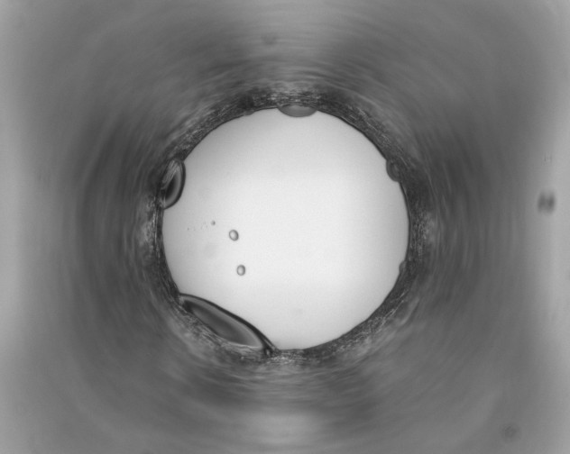 X0000090740914200708101659