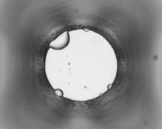 X0000090740918200708101659