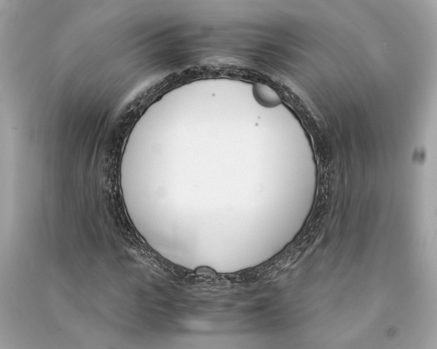 X0000090740919200708101659