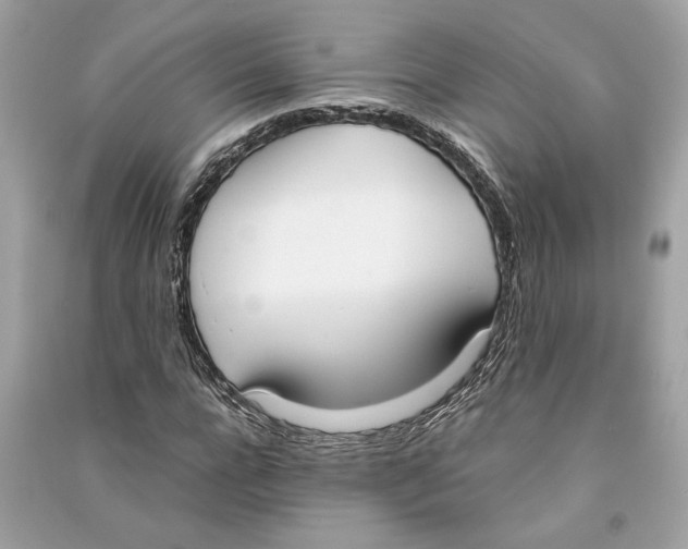 X0000090740920200708101659