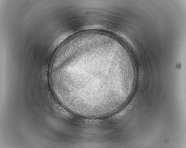 X0000090740921200708101659