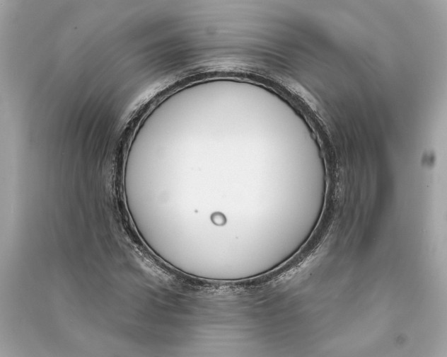 X0000090740922200708101659