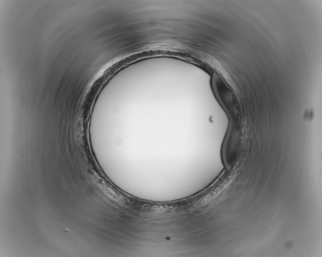 X0000090740923200708101659