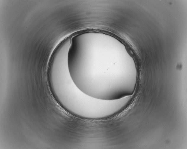 X0000090740924200708101659