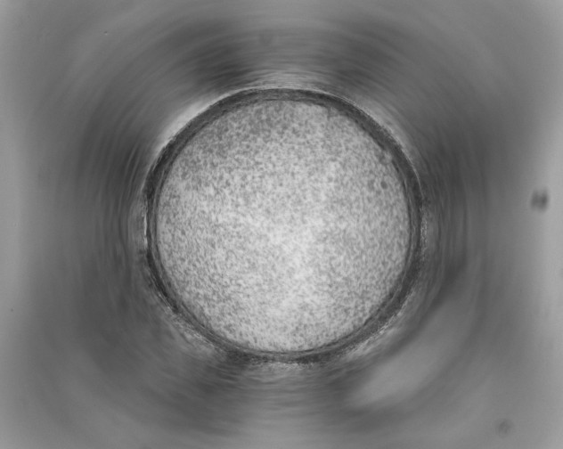 X0000090740925200708101659