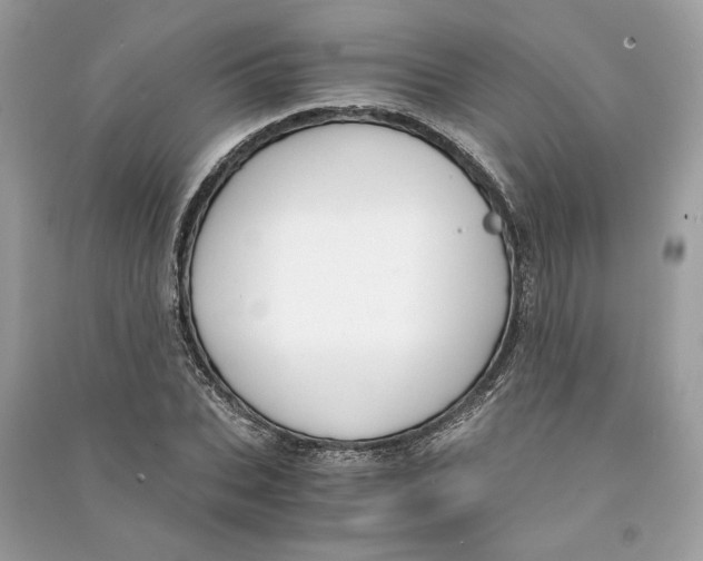 X0000090740927200708101659