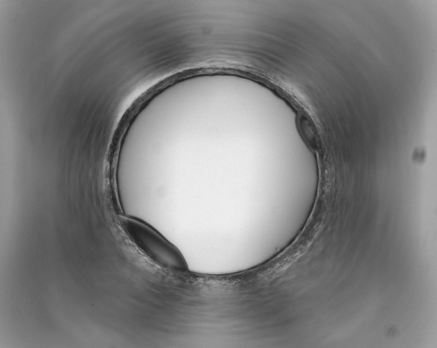 X0000090740928200708101659