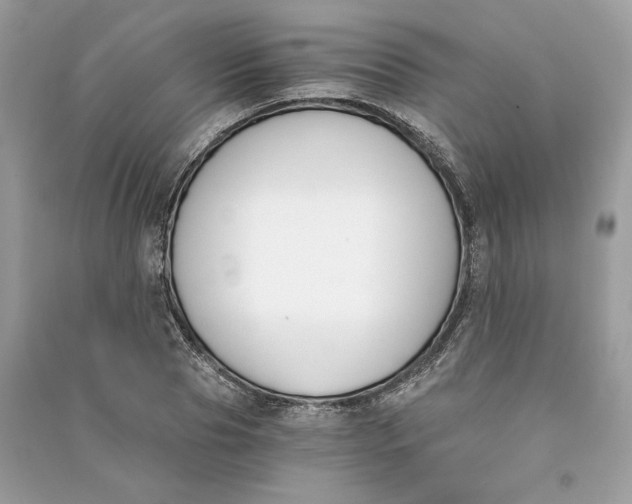 X0000090740929200708101659