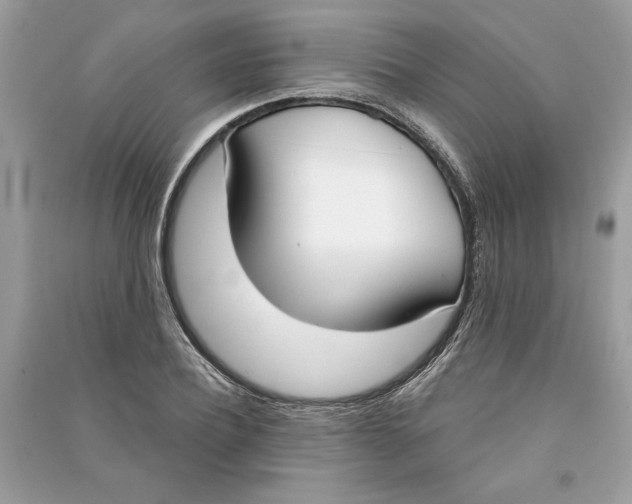 X0000090740932200708101659