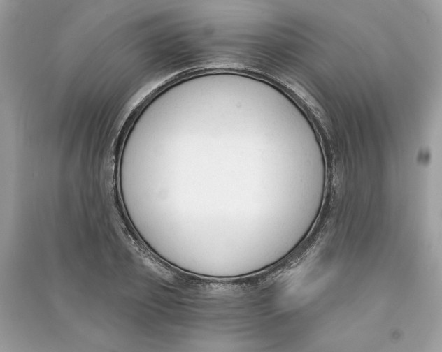 X0000090740933200708101659