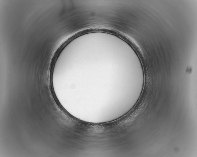 X0000090740935200708101659