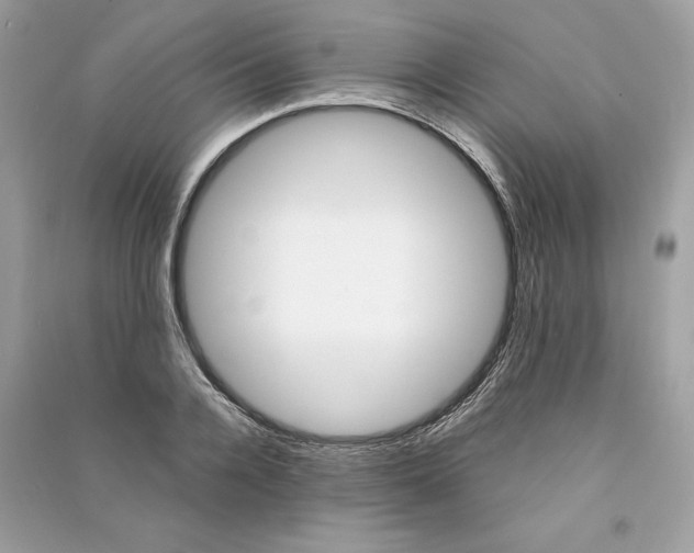 X0000090740936200708101659