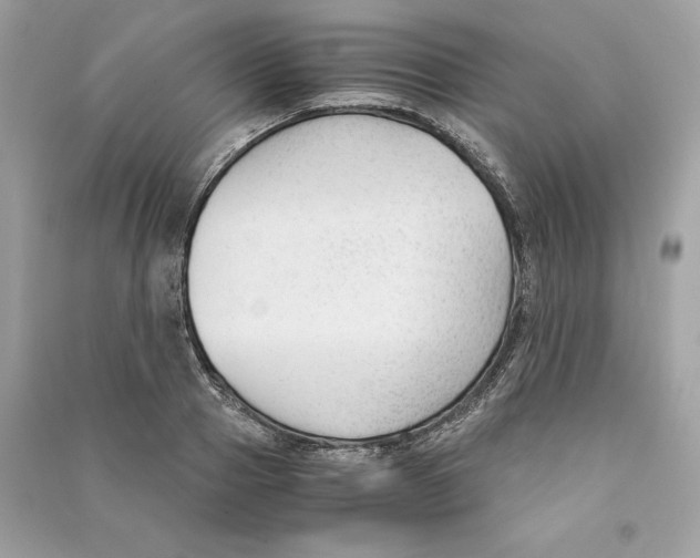 X0000090740937200708101659