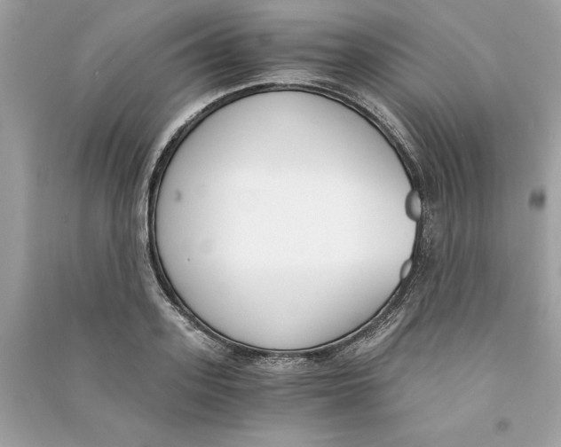 X0000090740939200708101659