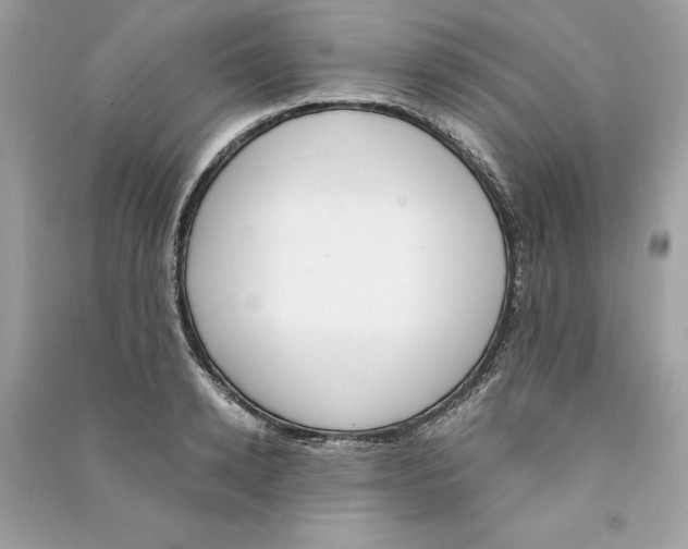 X0000090740942200708101659