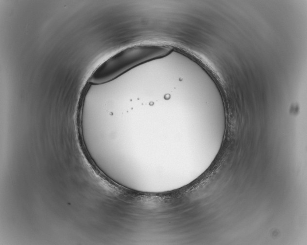 X0000090740943200708101659