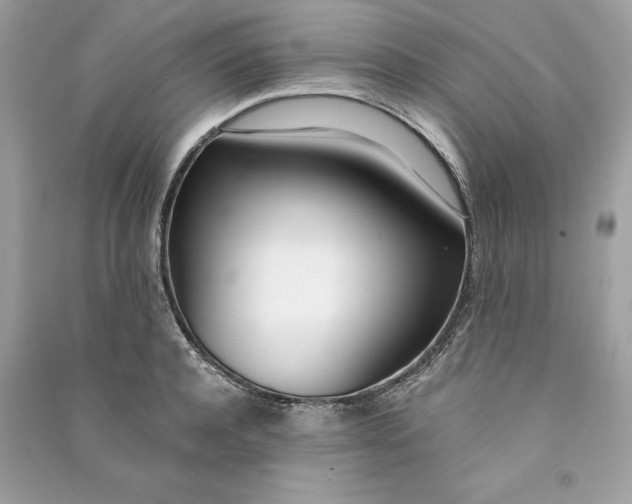 X0000090740944200708101659