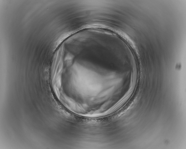 X0000090740945200708101659