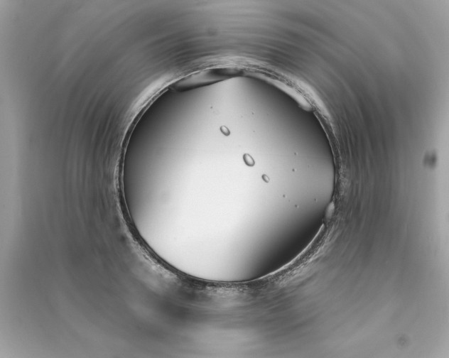 X0000090740946200708101700