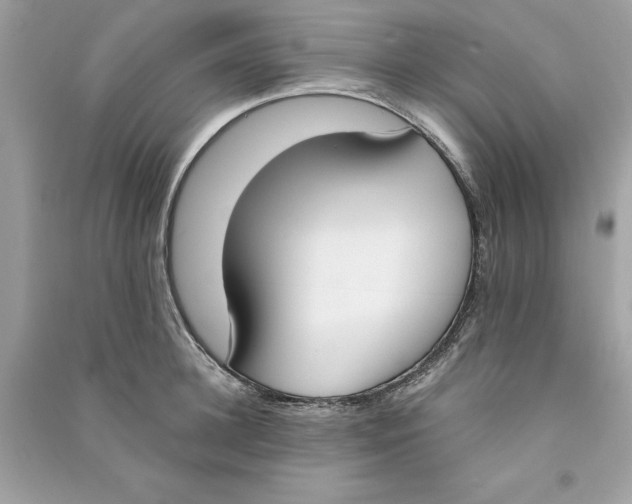 X0000090740948200708101700