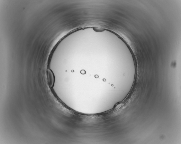 X0000090740949200708101700