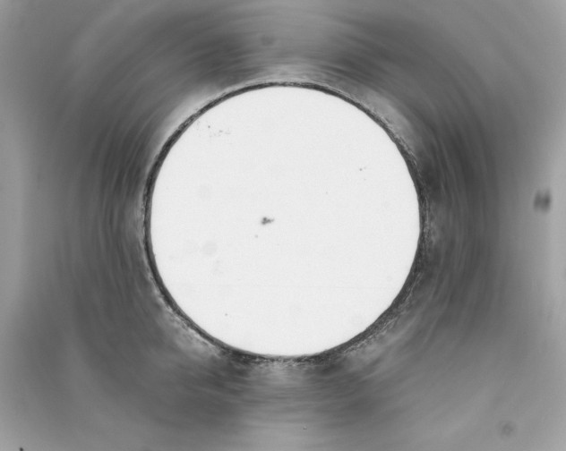 X0000090740950200708101700