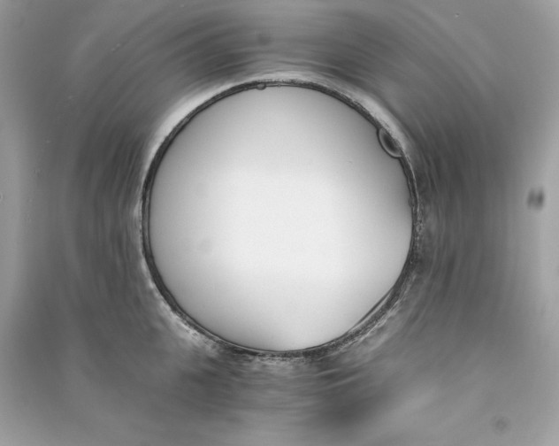 X0000090740951200708101700