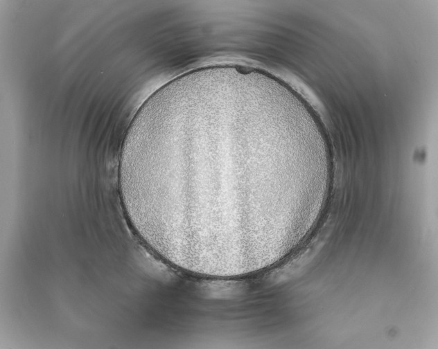 X0000090740953200708101700