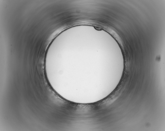 X0000090740954200708101700