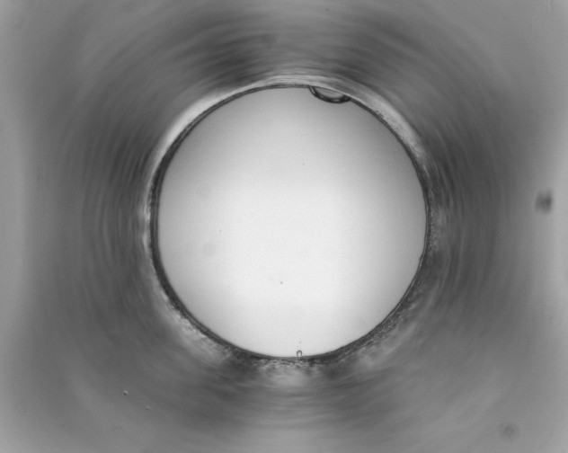 X0000090740955200708101700