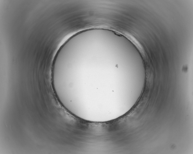 X0000090740956200708101700